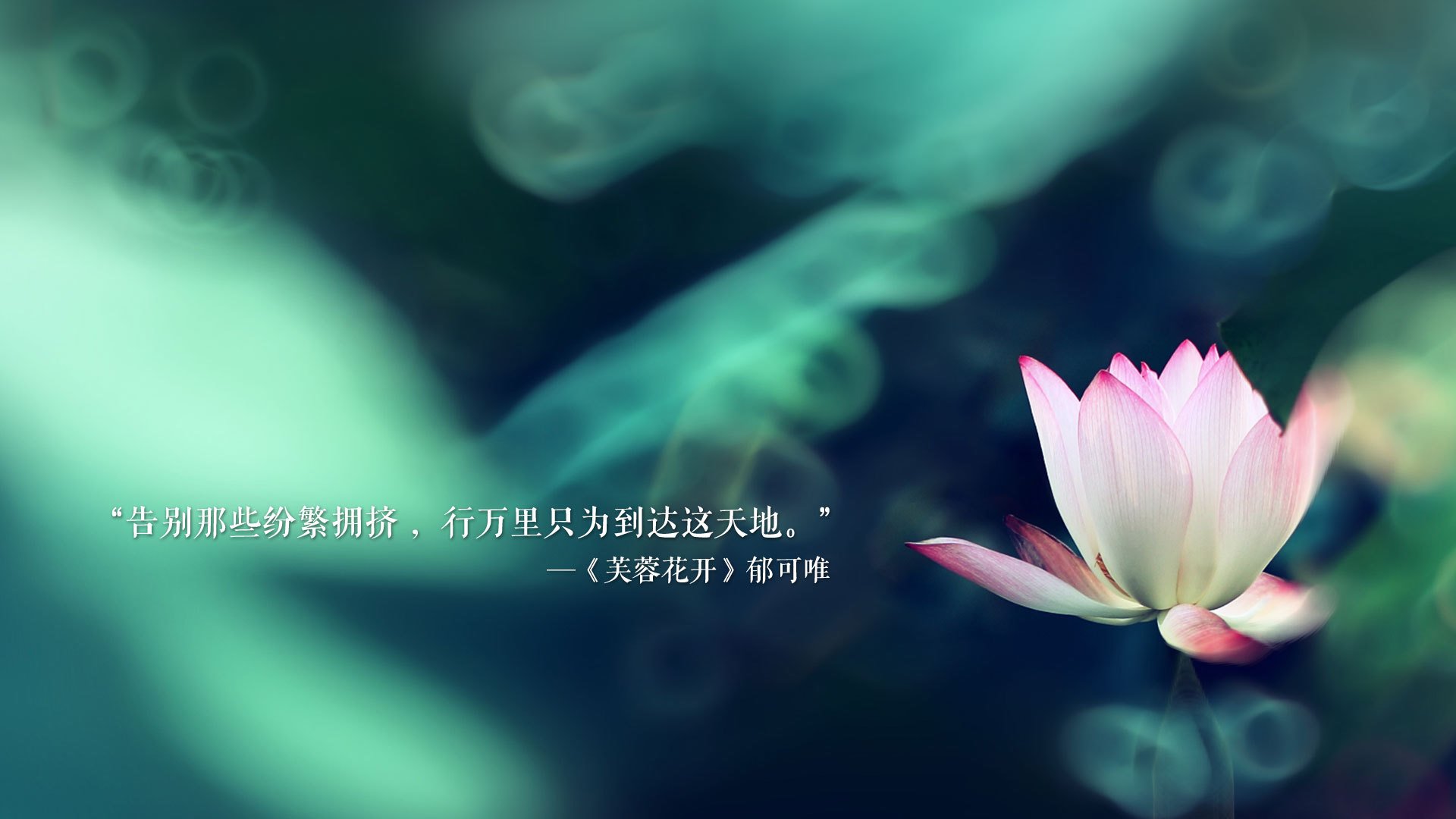 《明星电子竞技解说：带你领略每场激战的精彩！》，明星x电竞选手