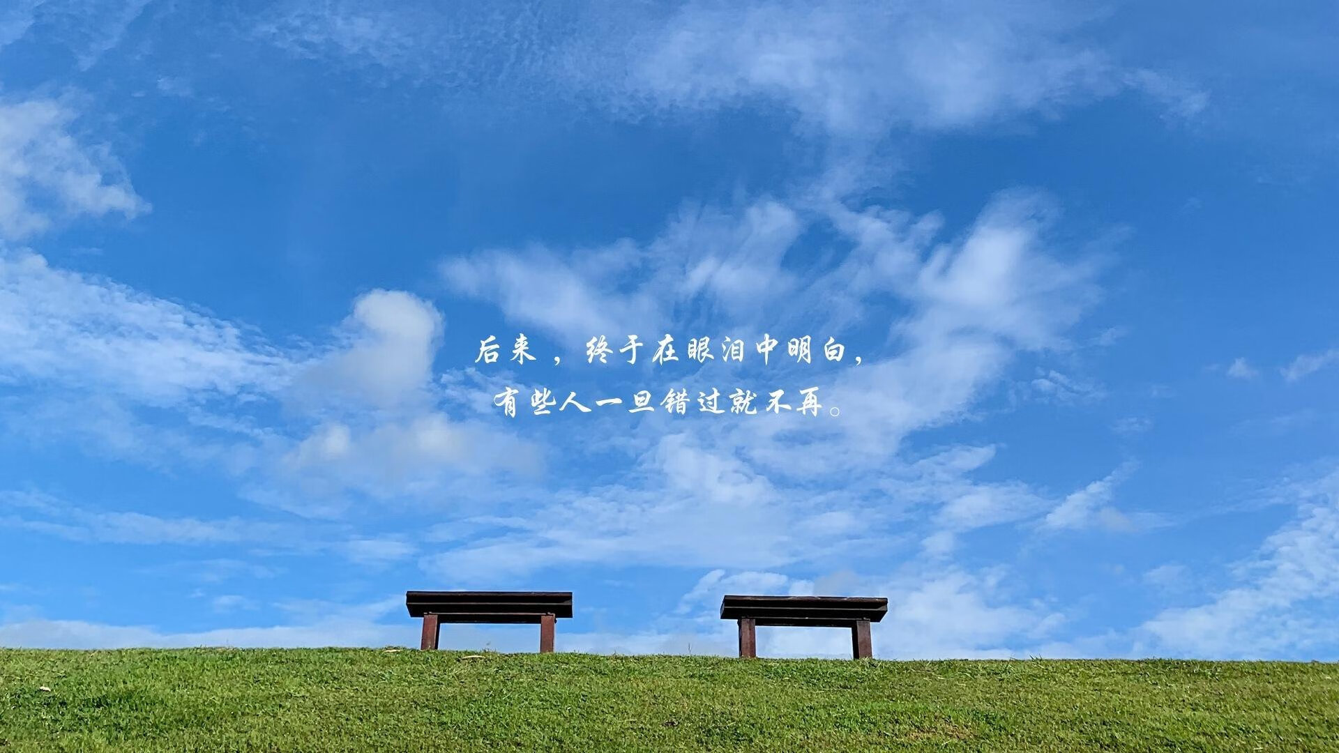 哥伦比亚马术协会设立“Sinjska Alka”奖学金，支持传统马术研究。