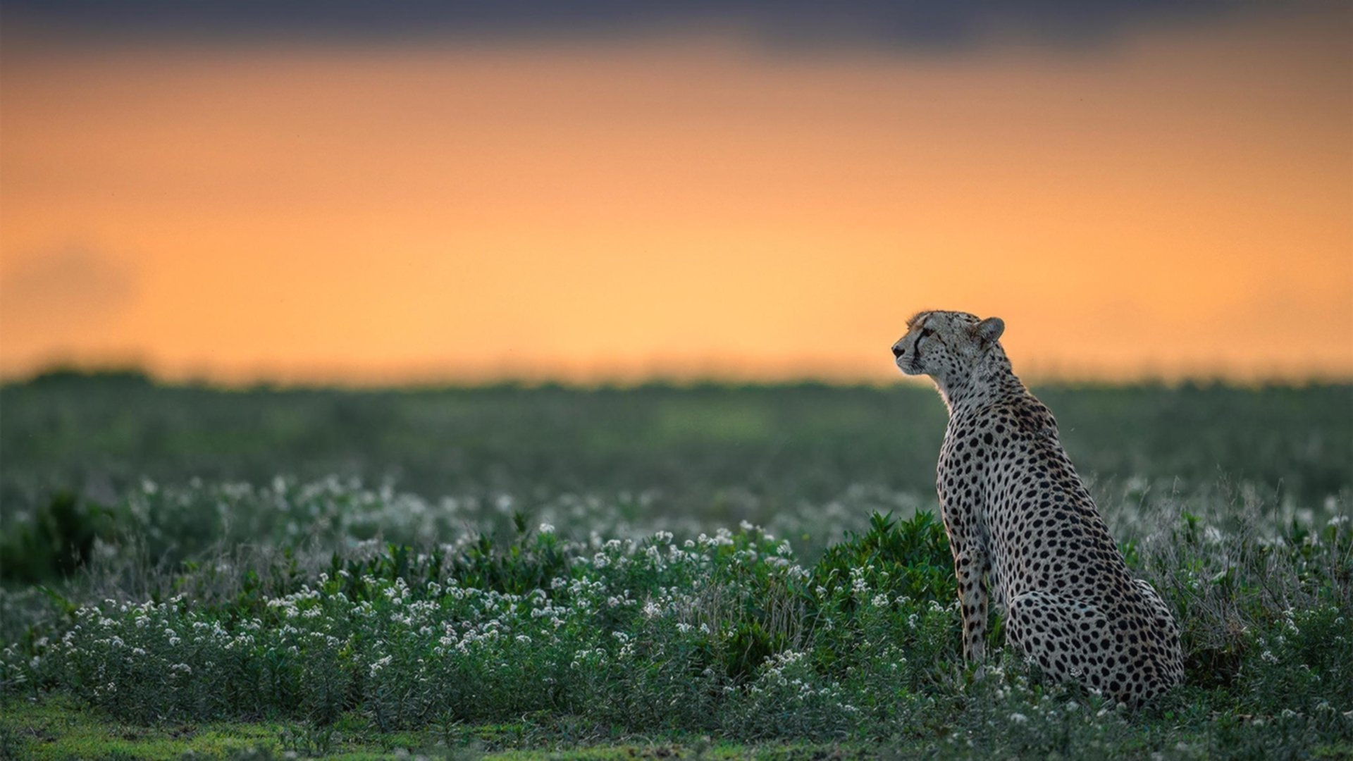 青少年“篮球梦想大集结”在昆明盛大开启，推动青训多元发展，昆明青少年篮球训练营