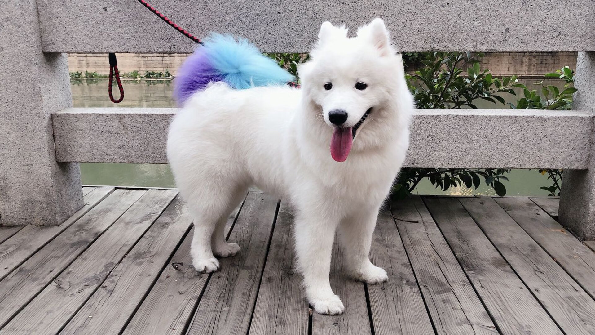 KPL赛区明星选手专访,kpl明星表演赛视频