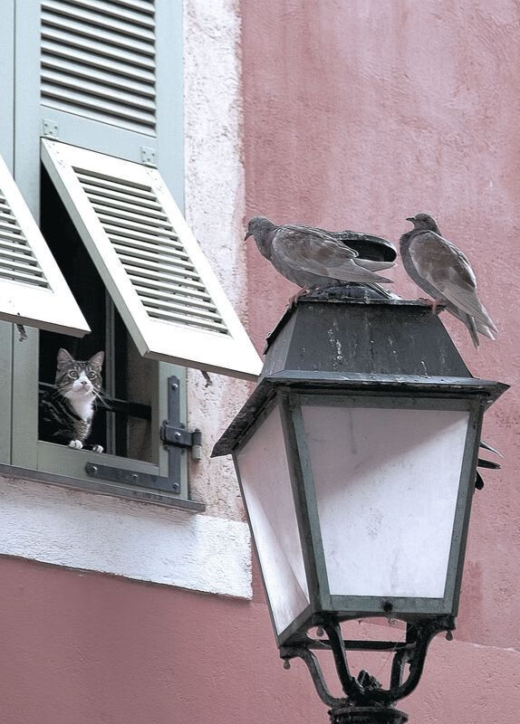 土耳其队取得连胜，战胜冰岛晋级下一轮，土耳其队比赛