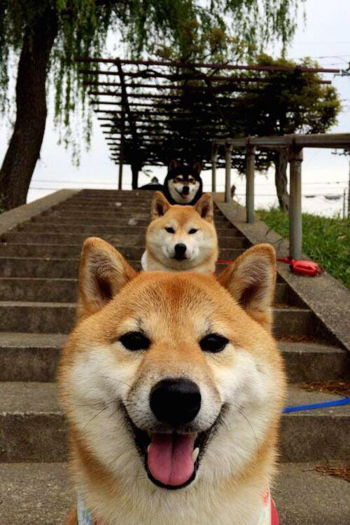 巴萨主场3-2战胜巴拉多利德，进攻端火力全开，巴萨三队