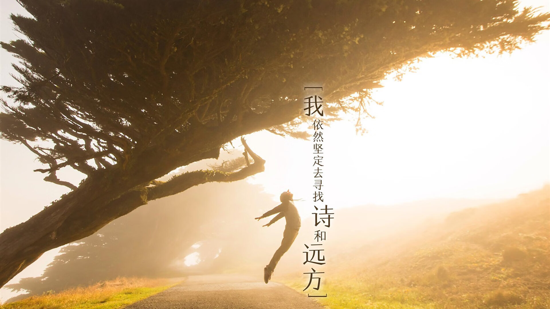 快船击败雄鹿，常规赛巅峰对决中乔治罚球绝杀，快船乔治伤情