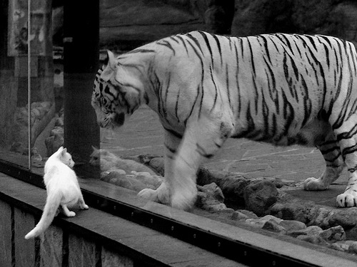 九游app官网下载-中超联赛国家队晋级 球员状态稳定，中超晋级与降级