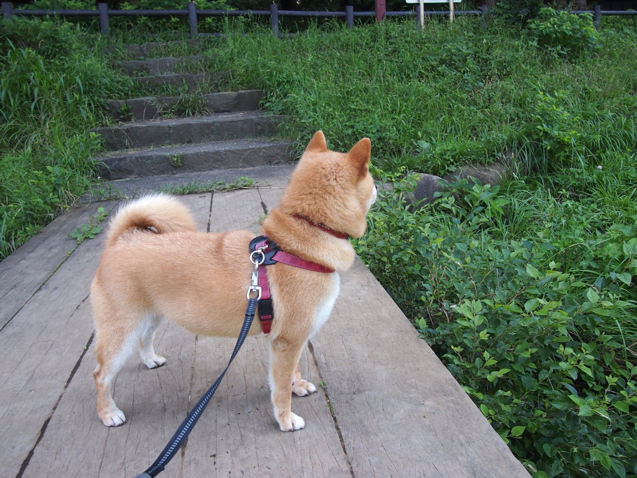 九游登录中心-尤文通过欧洲排名晋级世俱杯，接替那不勒斯席位，尤文排行