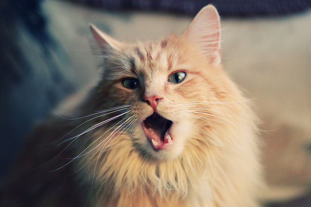 曼联传中质量提升带动中路进攻，效力过曼联的传奇