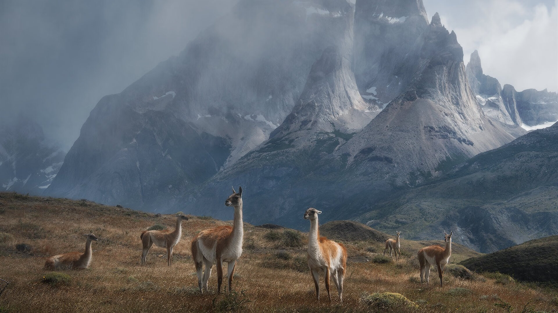 -凯瑟琳·伯科夫用速度与耐力完美结合，凯瑟琳·波克瓦克的真实经历