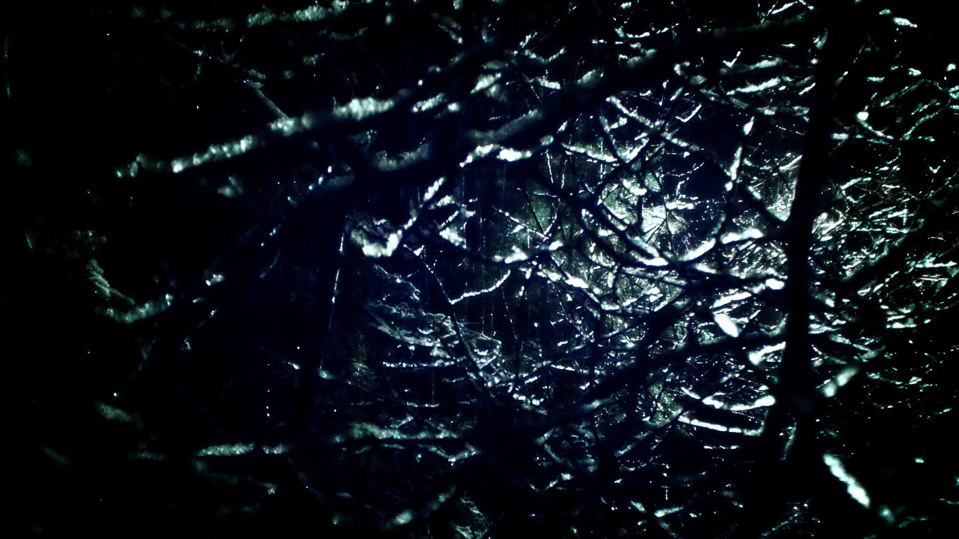 巴西国家队再度集结,备战世界杯预选赛