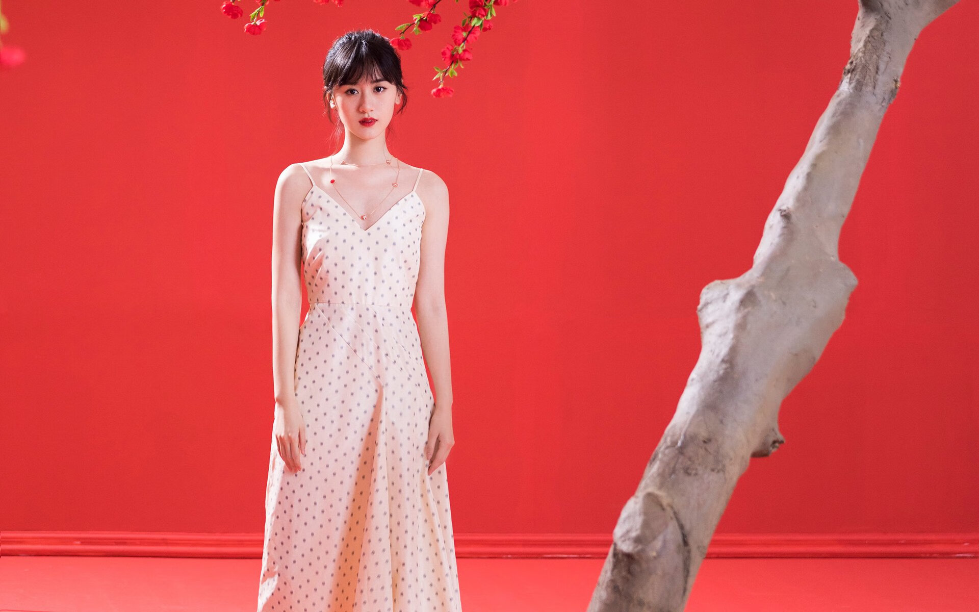 新西兰全黑队的比赛节奏由速度与精准推动，新西兰全黑队宣传视频