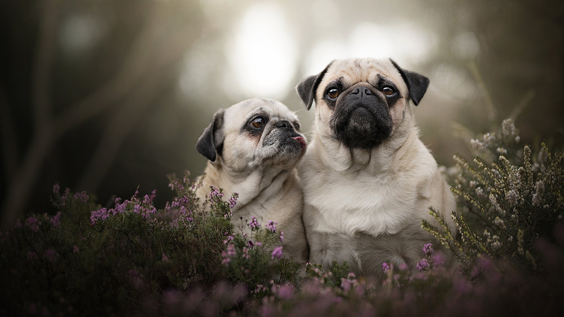 科斯赛后感谢团队支持与鼓励,感谢团队比赛胜利的话