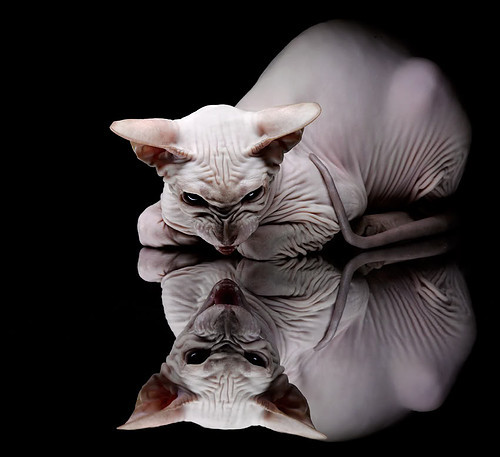 九游网-西甲金靴奖金：荣耀属于最具杀手本能的人，2021西甲金靴是谁